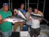 (08/10/2015) - Nice Striped Bass